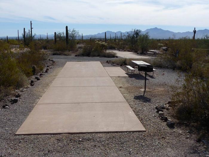 Pull-thru campsite with picnic table and grill, surrounded by cactus and desert vegetation.Site 146