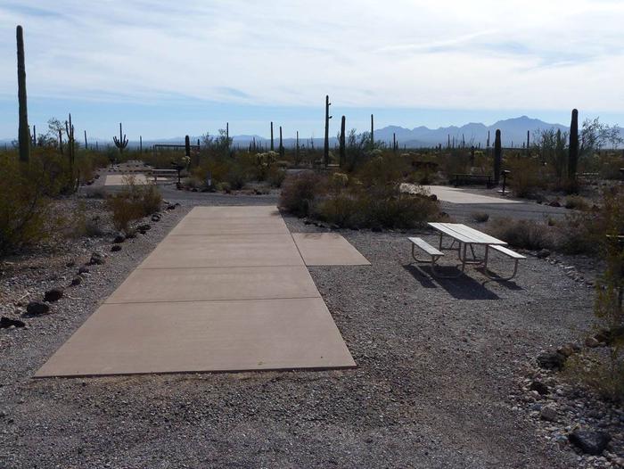 Pull-thru campsite with picnic table and grill, surrounded by cactus and desert vegetation.Site 147