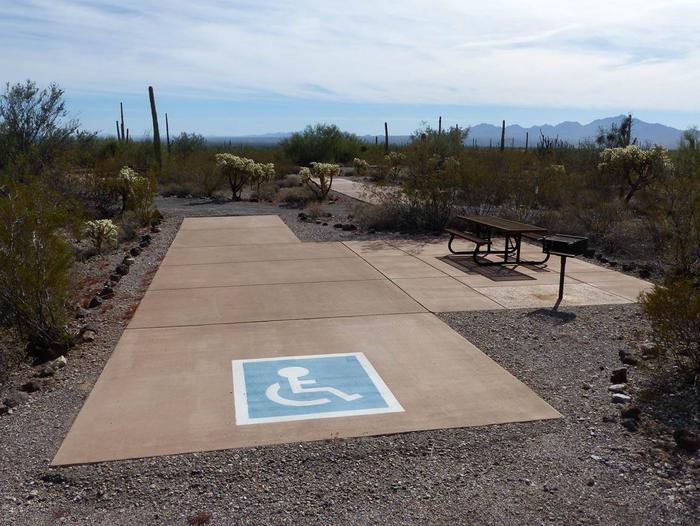 Pull-thru campsite with picnic table and grill, surrounded by cactus and desert vegetation. Handicap logo painted on the groundSite 149