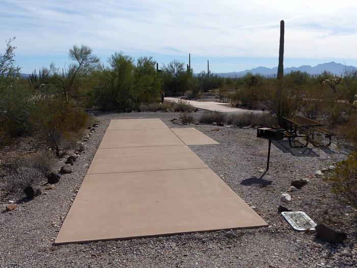 Pull-thru campsite with picnic table and grill, surrounded by cactus and desert vegetation.Site 151