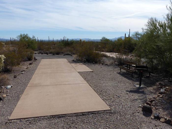Pull-thru campsite with picnic table and grill, surrounded by cactus and desert vegetation.Site 152