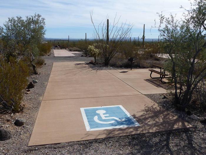 Pull-thru campsite with picnic table and grill, surrounded by cactus and desert vegetation. Handicapped logo painted on the groundSite 153