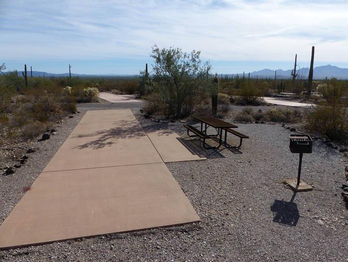 Pull-thru campsite with picnic table and grill, surrounded by cactus and desert vegetation.Site 154