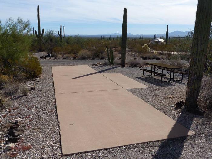 Pull-thru campsite with picnic table and grill, surrounded by cactus and desert vegetation.Site 155