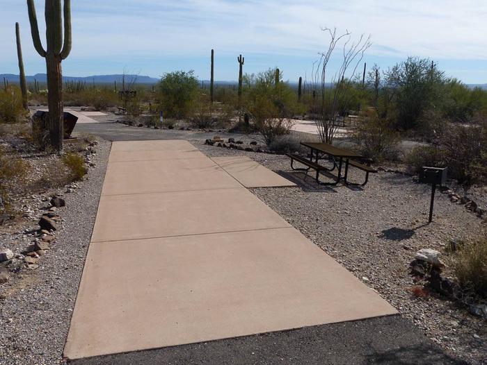 Pull-thru campsite with picnic table and grill, surrounded by cactus and desert vegetation.Site 157