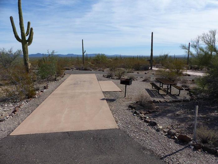 Pull-thru campsite with picnic table and grill, surrounded by cactus and desert vegetation.Site 158