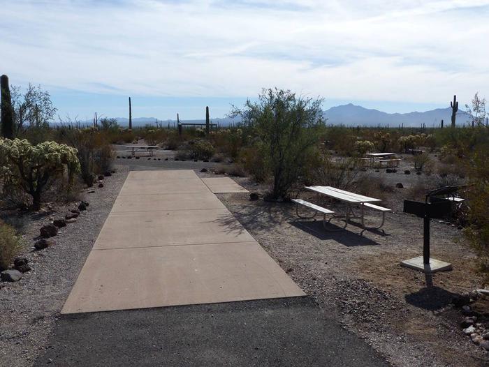 Pull-thru campsite with picnic table and grill, surrounded by cactus and desert vegetation.Site 159