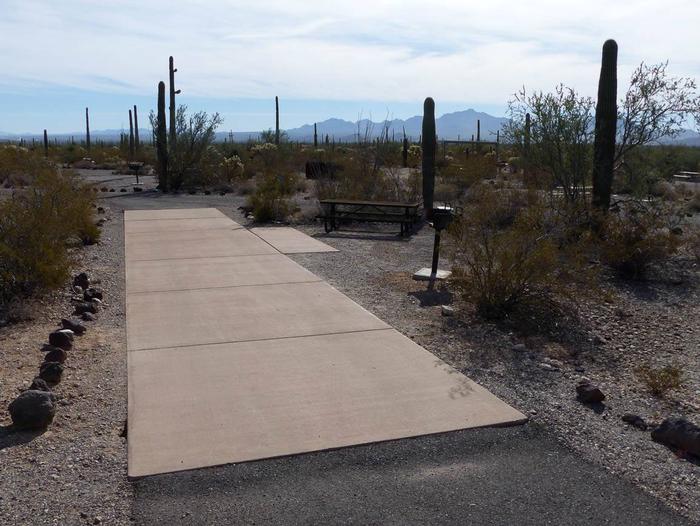 Pull-thru campsite with picnic table and grill, surrounded by cactus and desert vegetation.Site 160