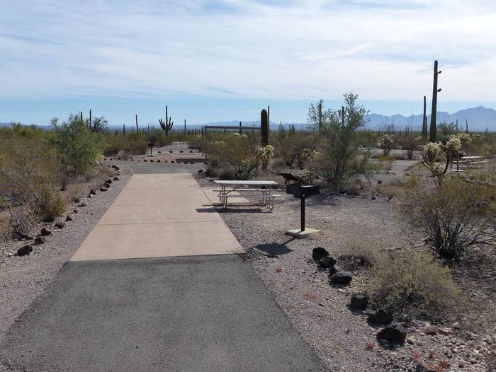 Pull-thru campsite with picnic table and grill, surrounded by cactus and desert vegetation.Site 161