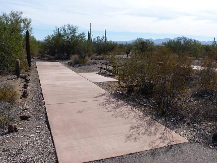 Pull-thru campsite with picnic table and grill, surrounded by cactus and desert vegetation.