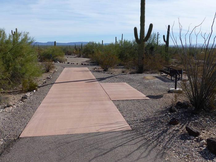 Pull-thru campsite with picnic table and grill, surrounded by cactus and desert vegetation.Site 172