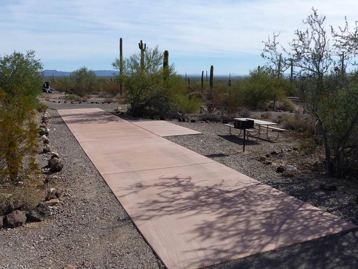 Pull-thru campsite with picnic table and grill, surrounded by cactus and desert vegetation.Site 173