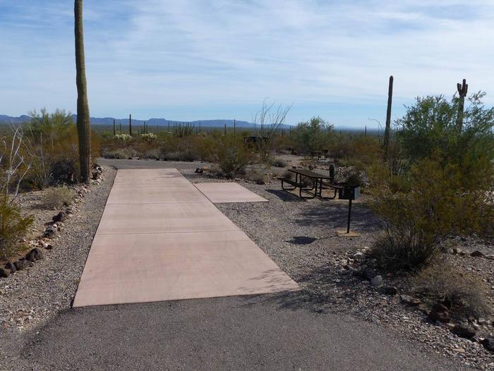 Pull-thru campsite with picnic table and grill, surrounded by cactus and desert vegetation.Site 174