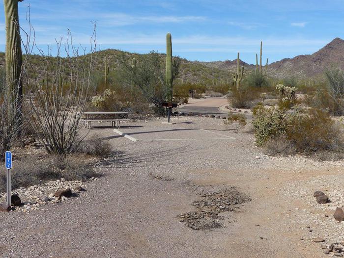 Pull-in parking tent camping site with picnic table and grill. Surrounded by cactus and desert vegetation.Site 177