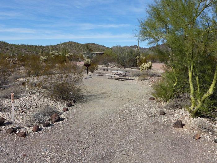Pull-in parking tent camping site with picnic table and grill. Surrounded by cactus and desert vegetation.Site 180