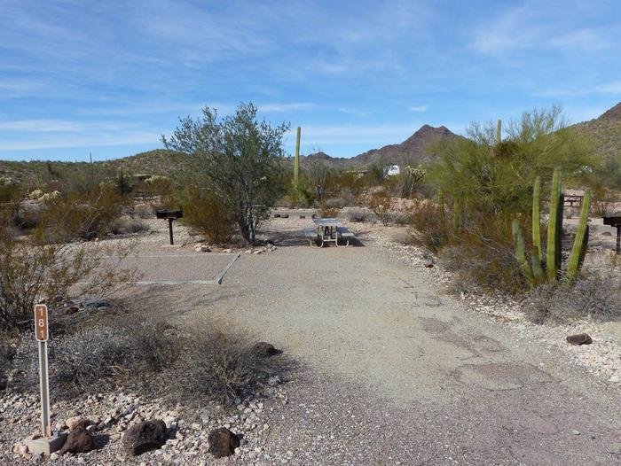 Pull-in parking tent camping site with picnic table and grill. Surrounded by cactus and desert vegetation.Site 181