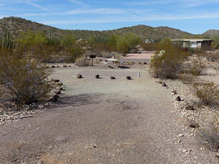 Pull-in parking tent camping site with picnic table and grill. Surrounded by cactus and desert vegetation.Site 185