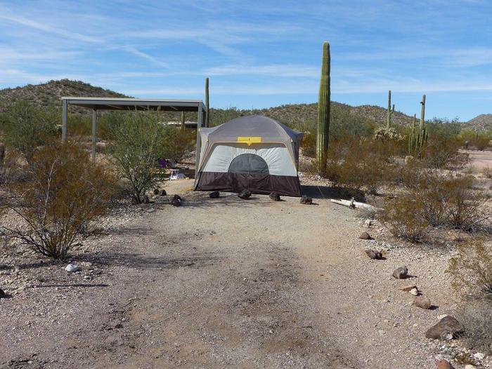 Pull-in parking tent camping site with sunshade, picnic table and grill. Surrounded by cactus and desert vegetation. Pictured is a tent that will not be at the siteSite 187