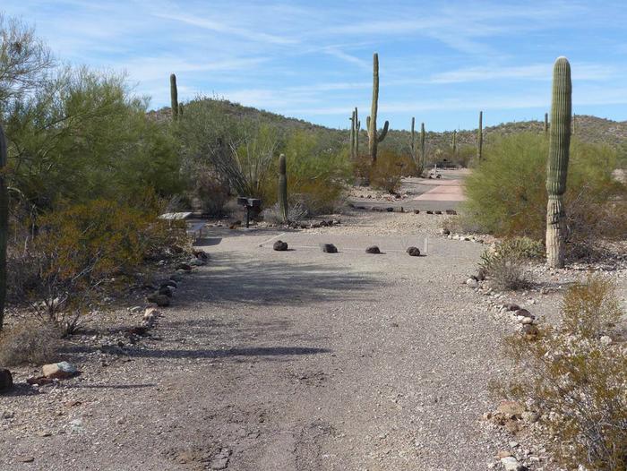Pull-in parking tent camping site with picnic table and grill. Surrounded by cactus and desert vegetation.Site 189