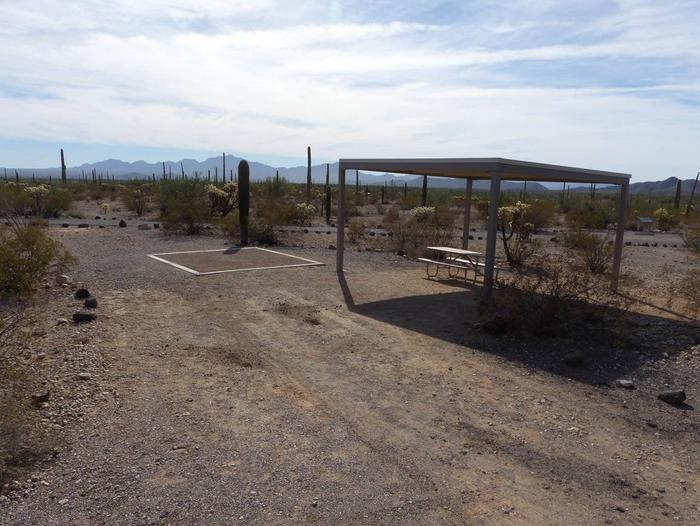 Pull-in parking tent camping site with sunshade, picnic table and grill. Surrounded by cactus and desert vegetation.Site 193