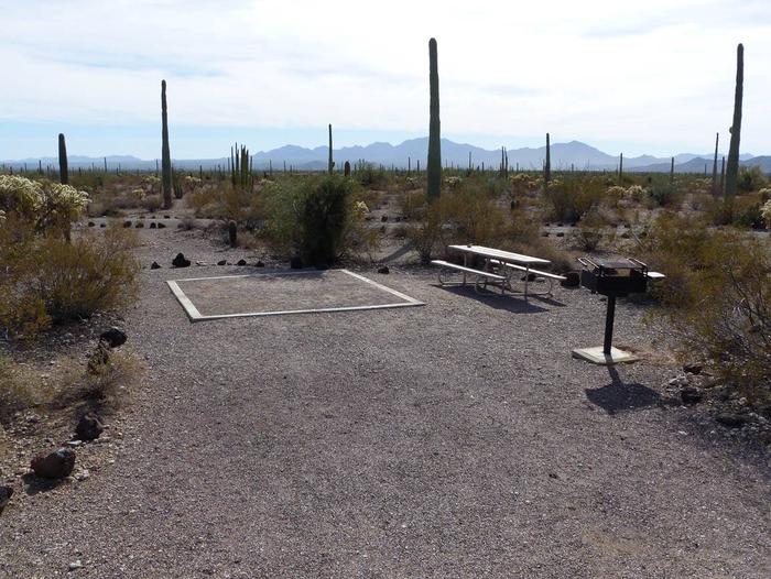 Pull-in parking tent camping site with picnic table and grill. Surrounded by cactus and desert vegetation.Site 195