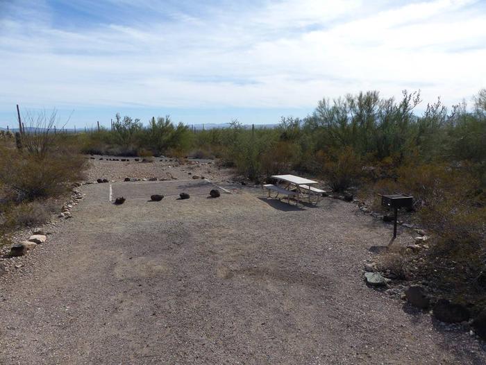Pull-in parking tent camping site with picnic table and grill. Surrounded by cactus and desert vegetation.Site 201
