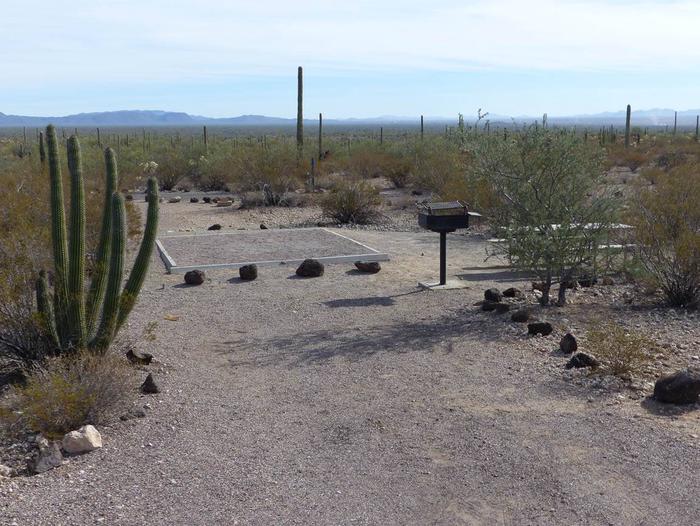 Pull-in parking tent camping site with picnic table and grill. Surrounded by cactus and desert vegetation.Site 205