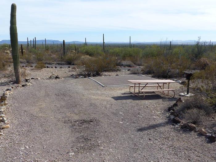 Pull-in parking tent camping site with picnic table and grill. Surrounded by cactus and desert vegetation.Site 207