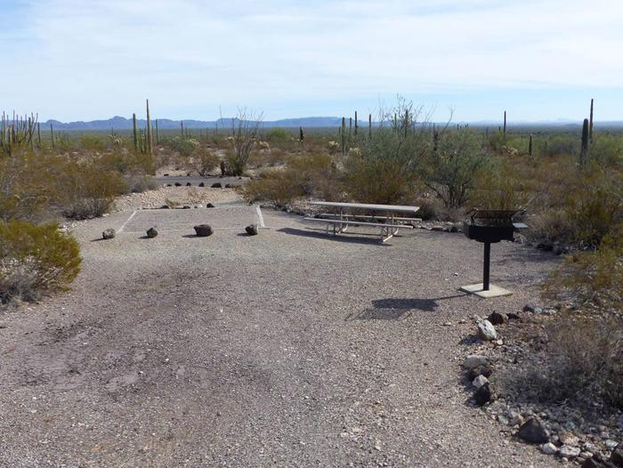 Pull-in parking tent camping site with picnic table and grill. Surrounded by cactus and desert vegetation.Site 208