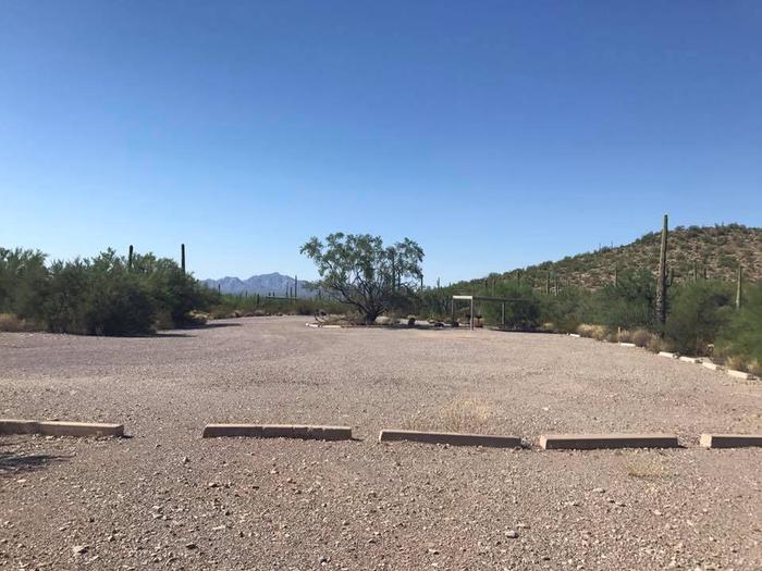 Large open parking area with sunshade surrounded by cactus and desert vegetation.Group Site 2