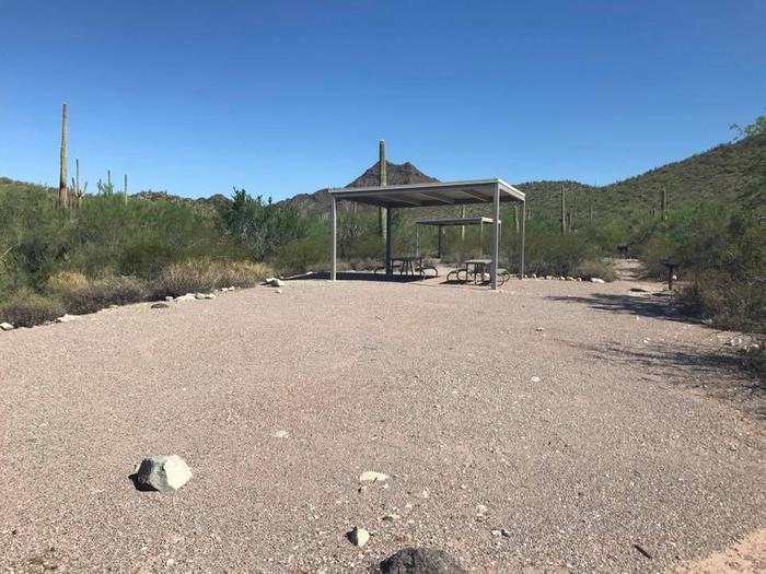 Small group tent camping area with a sunshade and picnic tables surrounded by cactus and desert vegetation. Group site 3