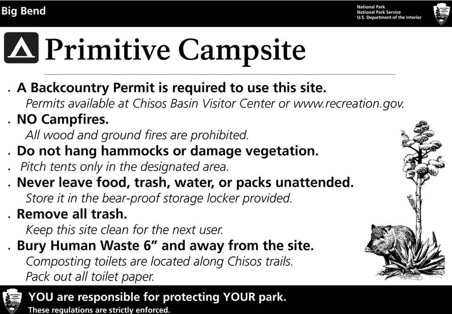 Chisos Primitive Campsite RegulationsProtect Big Bend. YOU are responsible for protecting YOUR park.