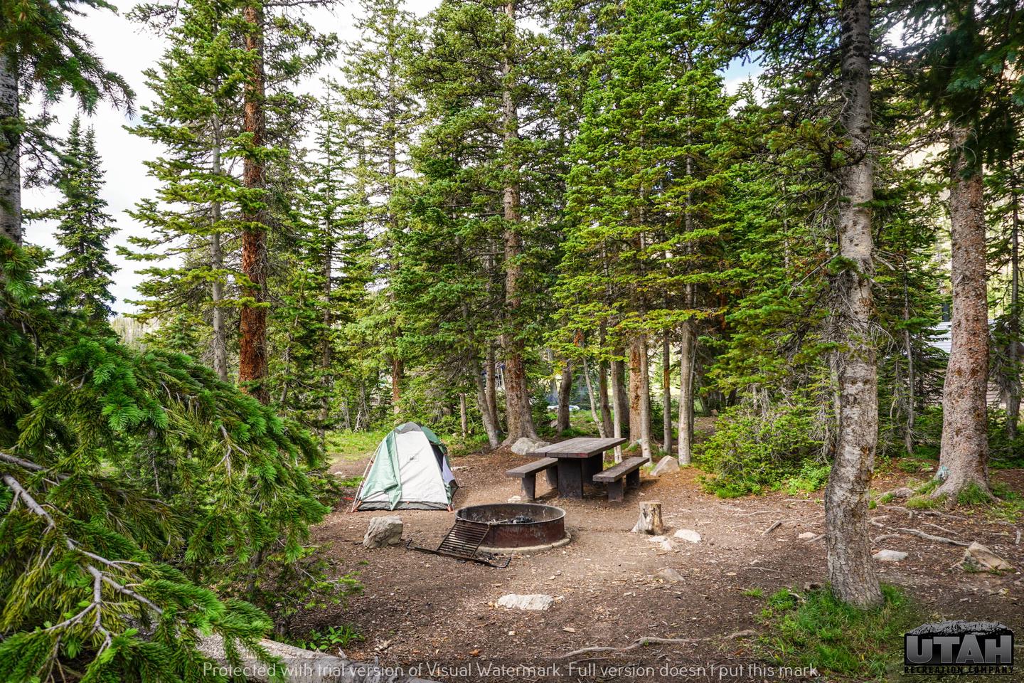 Moosehorn Campground - 005