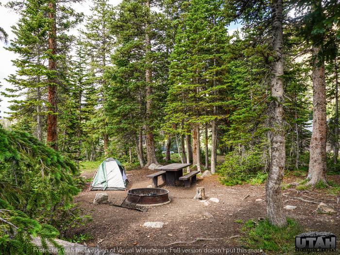 Moosehorn Campground - 005