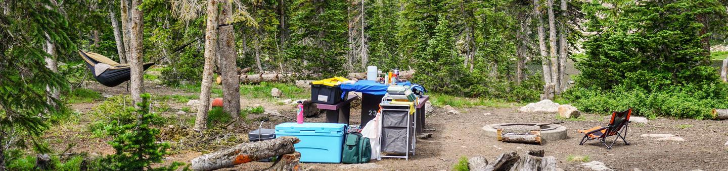 Moosehorn Campground - 023