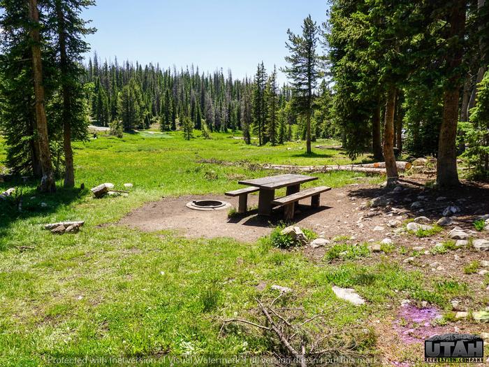 Site 003, Lost Creek Campground - Recreation.gov