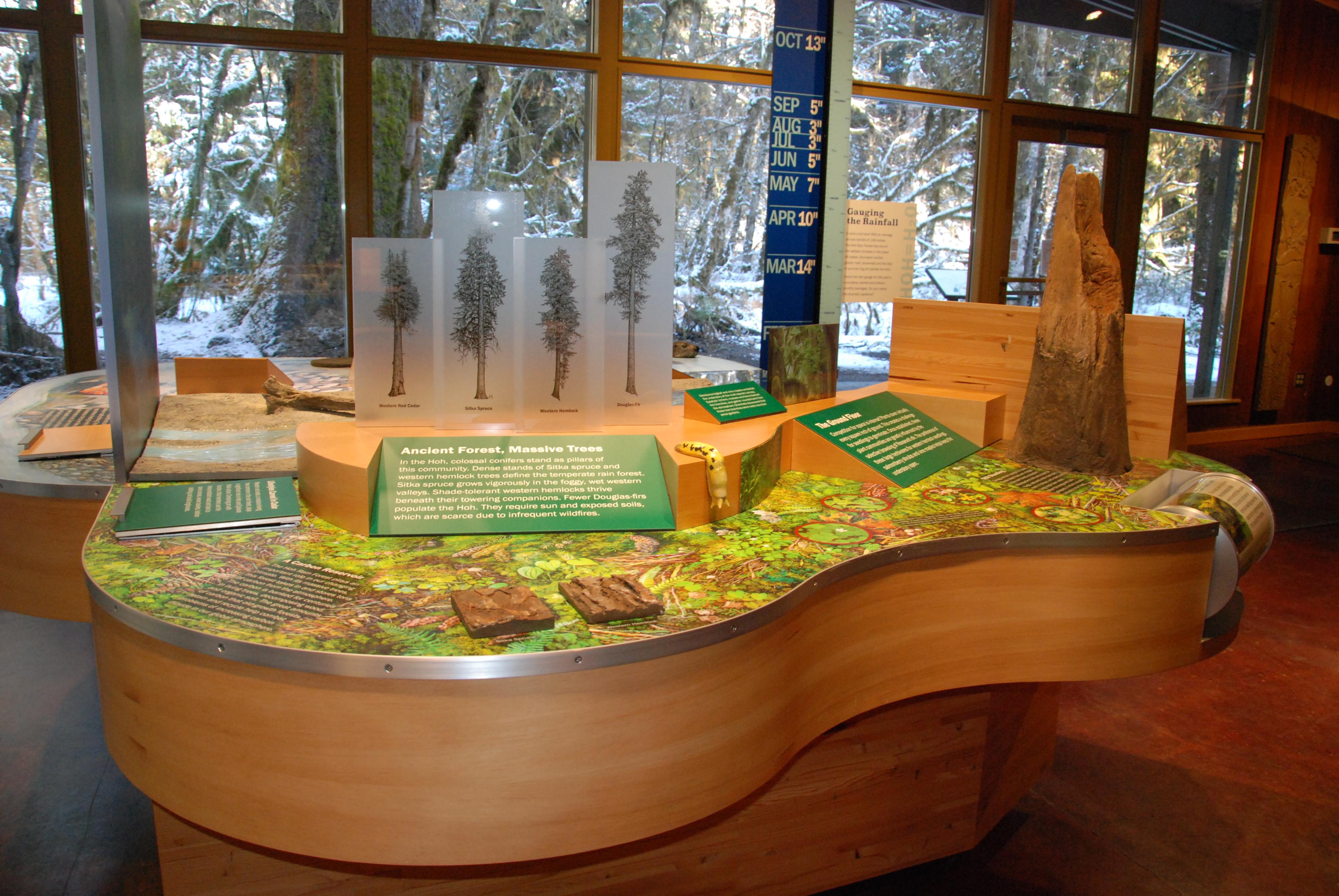 Hoh Rain Forest Visitor Center