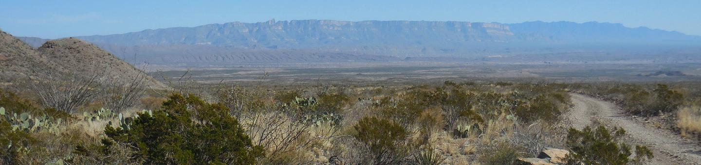 Pine Canyon 1 Campsite view