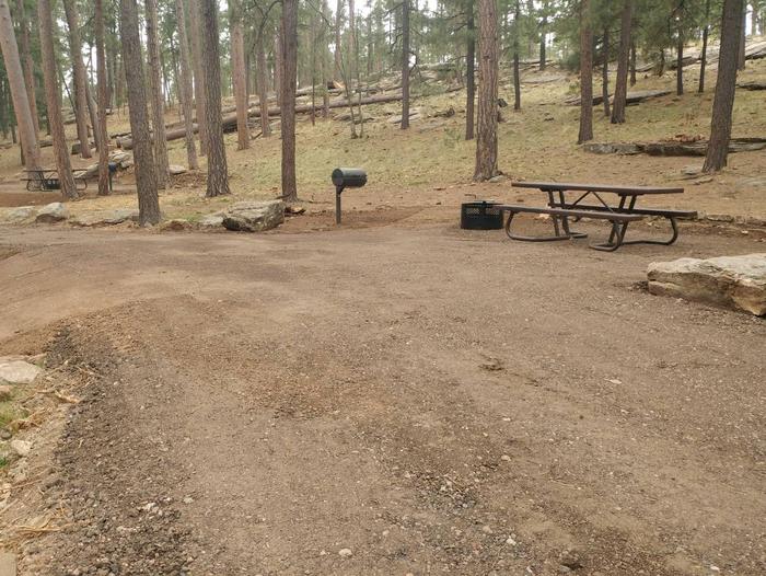 Site 5 with a campfire ring, picnic table, camp grill, and parking.Site 5 Spillway Campground 