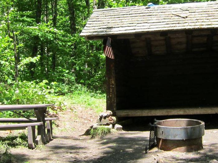3-sided shelter in shady campsitecampsite 6; new shelter constructed in fall of 2020