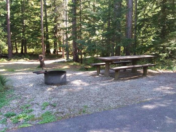 Devil's Elbow Campground Site 8