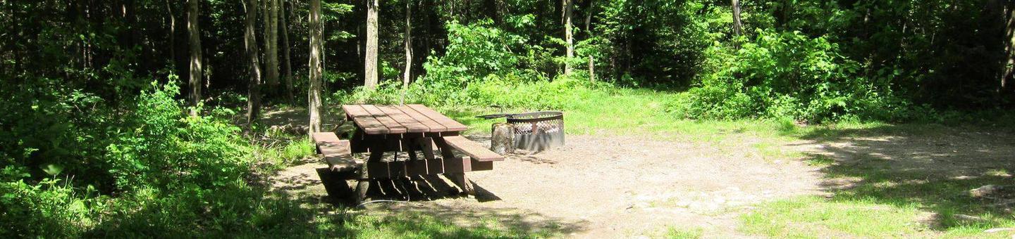 picnic table and fire ring in wooded campsitecampsite 13