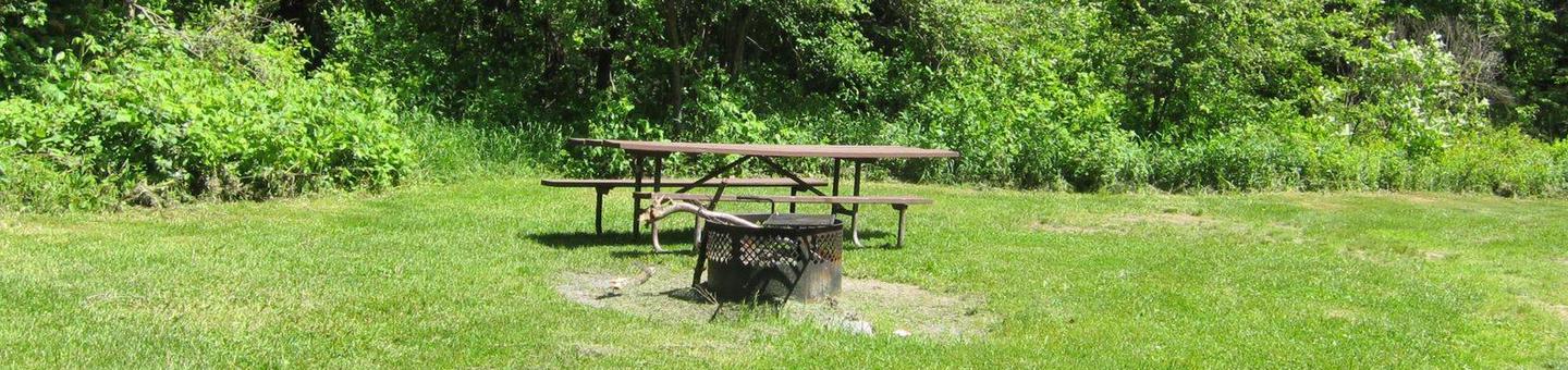 picnic table and fire ring in sunny campsitecampsite 15