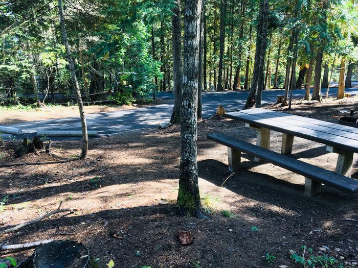 Outlet Campground Site 18