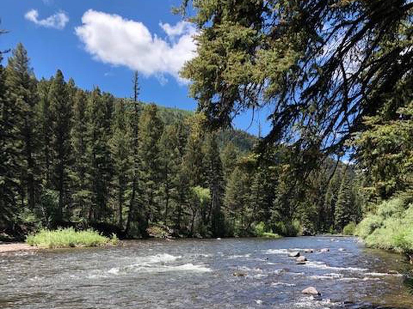 Campground | Aspen Glade, Rio Grande National Forest - Recreation.gov