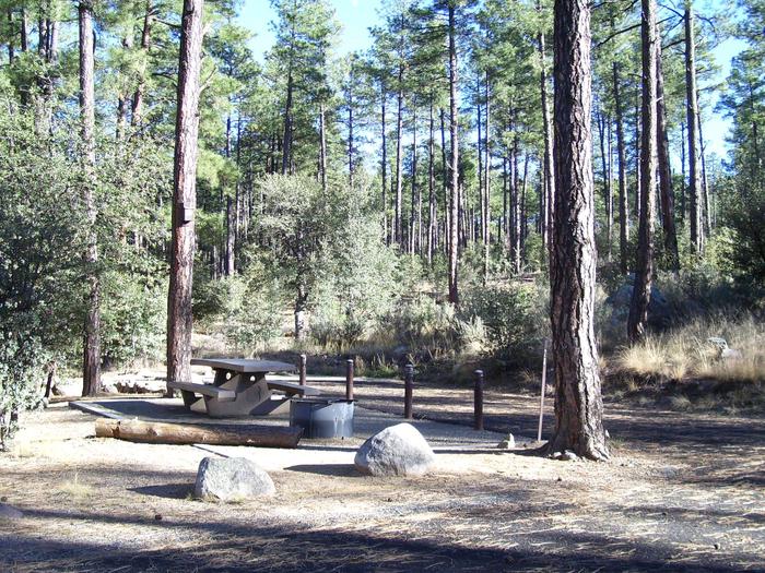 Site 28 parking to the left of the picnic area tucked in the Ponderosa forest.White Spar Site 28 