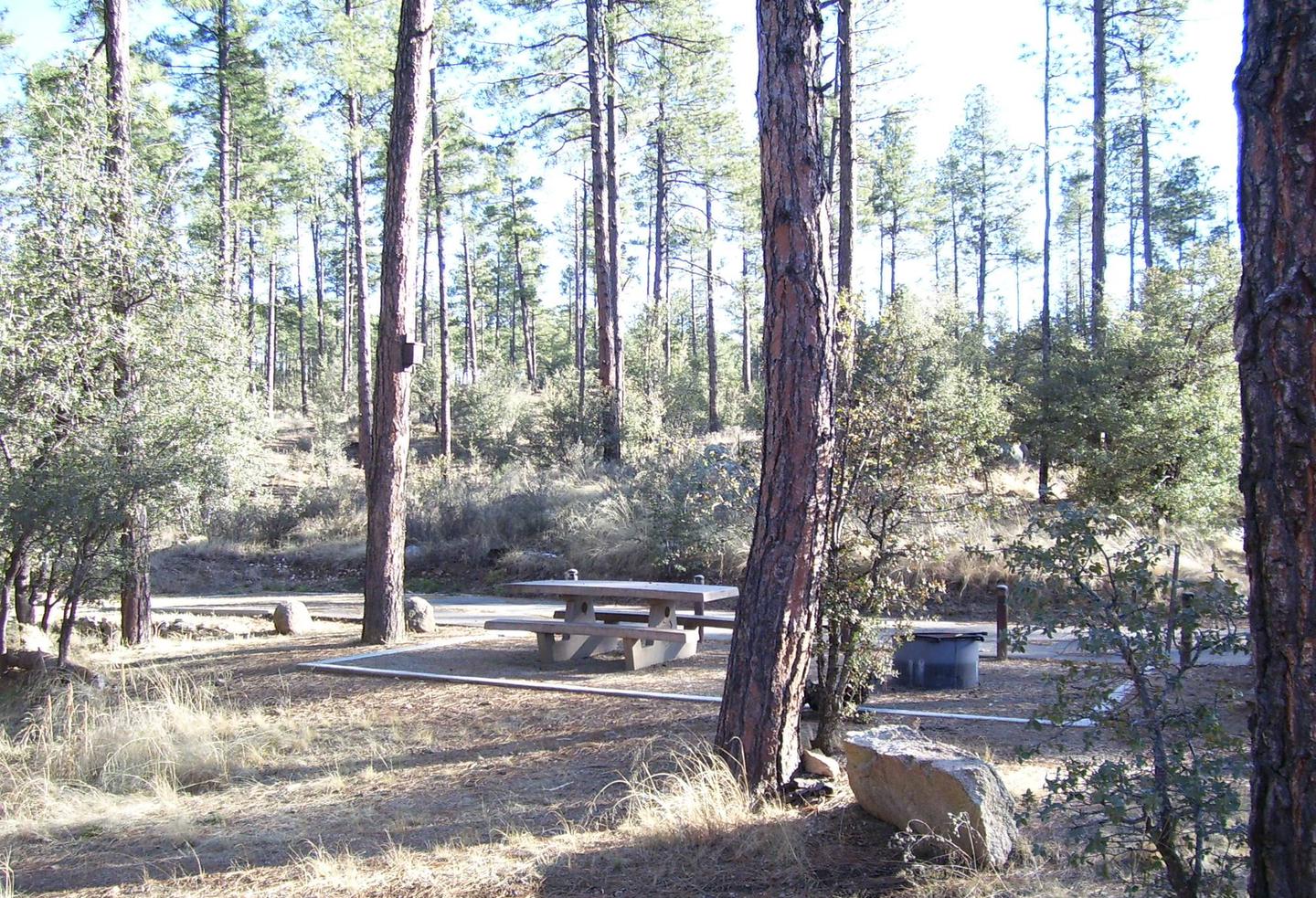 Site 28 Tucked in the hills with the picnic area amongst the Ponderosa's.White Spar Site 28