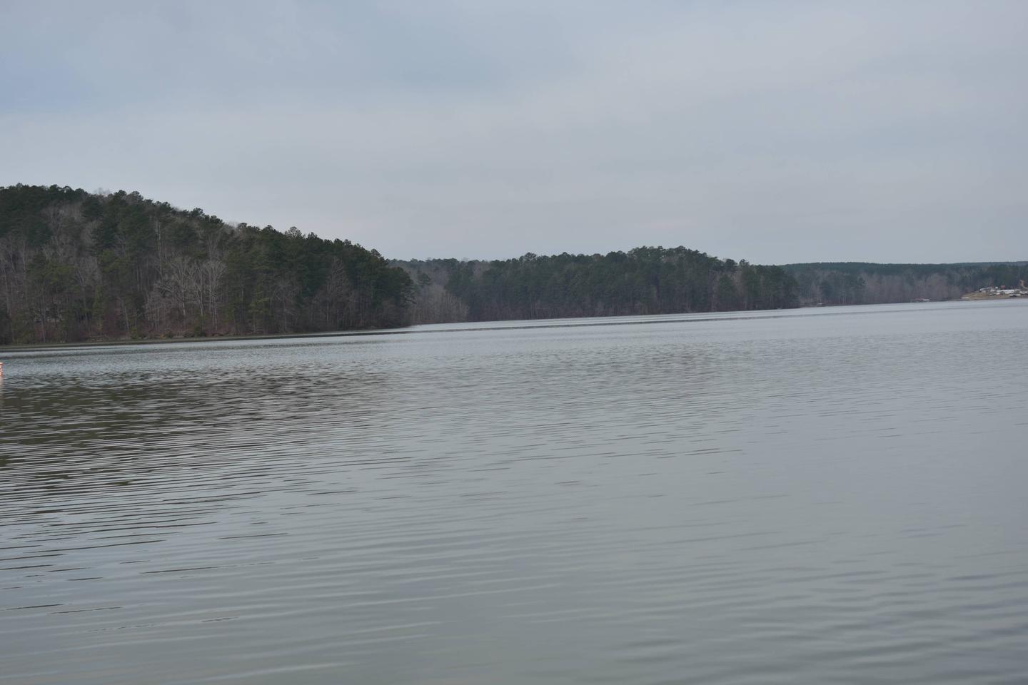 Clear Creek Public Boat Ramp Dock View of Lewis Smith Lake in March.Lewis Smith Lake and the fish await
March 1st, 2020