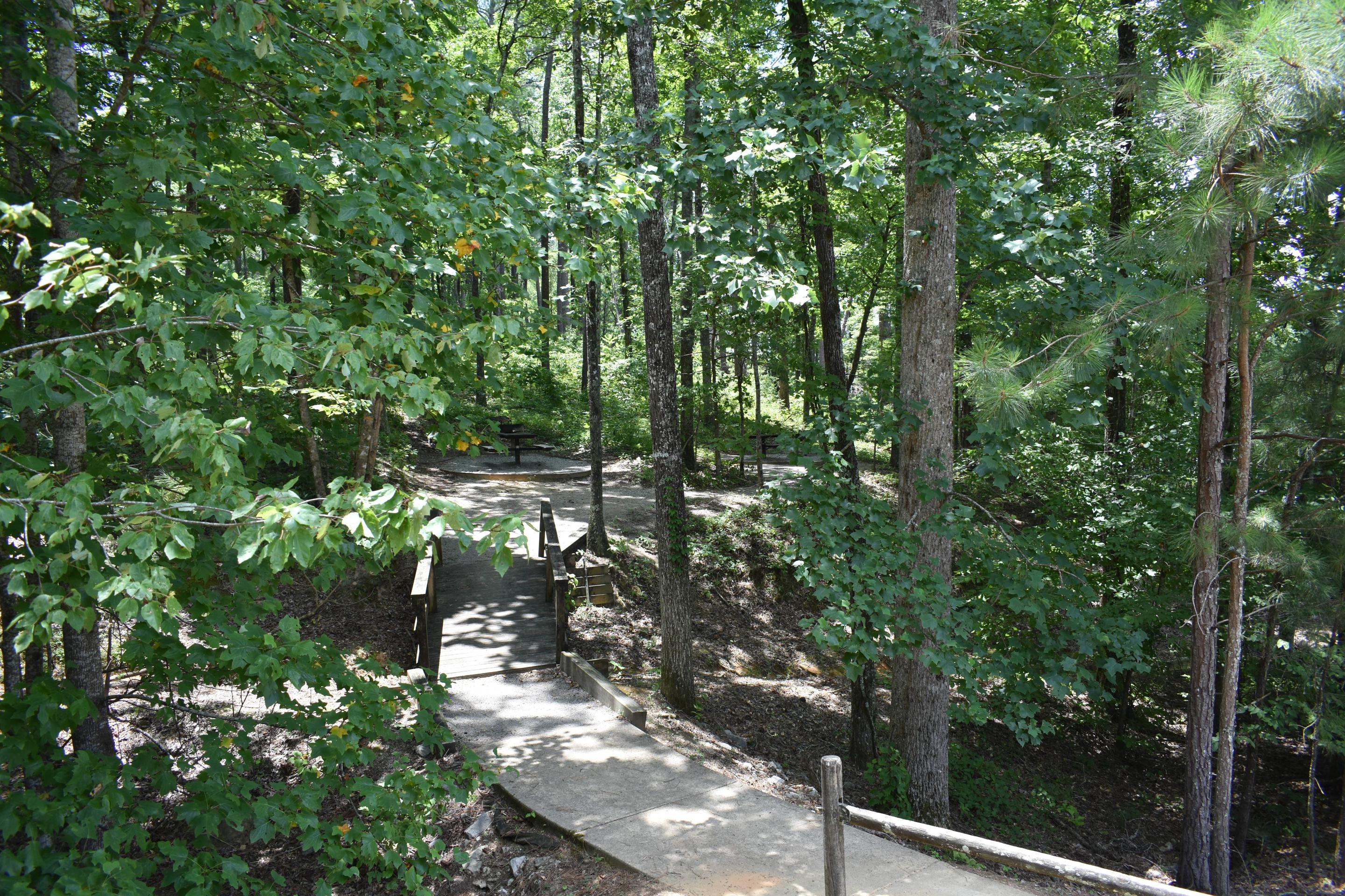 Escape to the Great Outdoors: Your Guide to Corinth Recreation Area