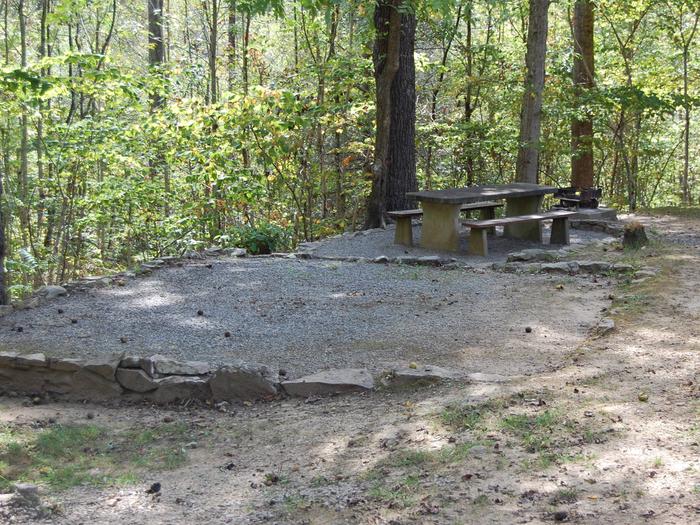Site 4Shaded tent pad and picnic area